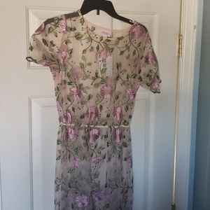 New with tags! Mesh embroidered dress